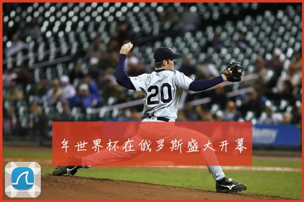 年世界杯在俄罗斯盛大开幕