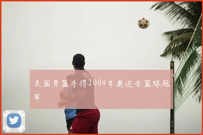 美国男篮夺得2004年奥运会篮球冠军
