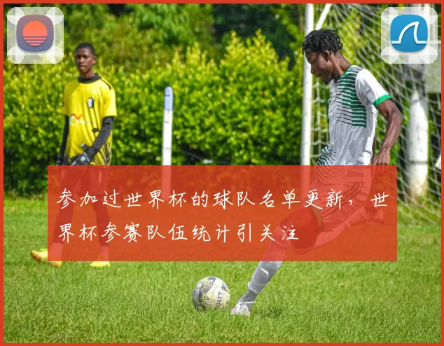 参加过世界杯的球队名单更新，世界杯参赛队伍统计引关注