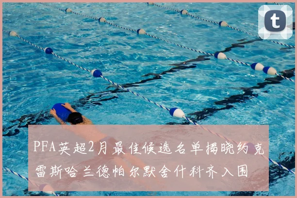PFA英超2月最佳候选名单揭晓约克雷斯哈兰德帕尔默舍什科齐入围
