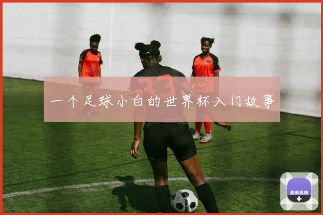 一个足球小白的世界杯入门故事