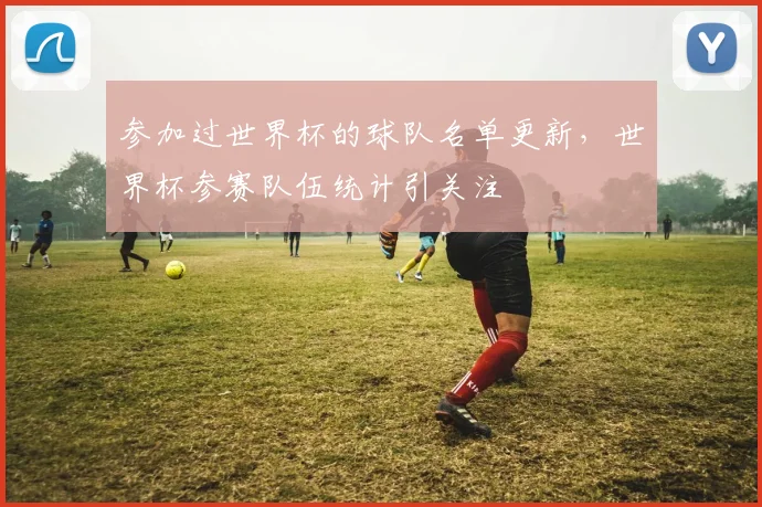 参加过世界杯的球队名单更新，世界杯参赛队伍统计引关注