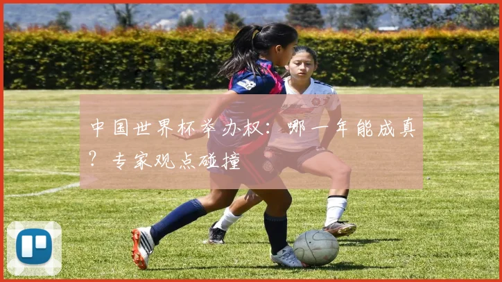 中国世界杯举办权：哪一年能成真？专家观点碰撞