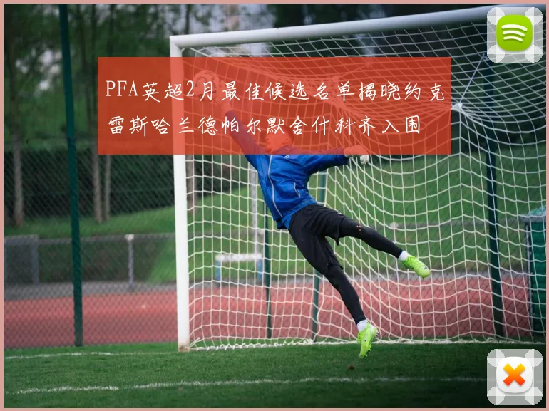 PFA英超2月最佳候选名单揭晓约克雷斯哈兰德帕尔默舍什科齐入围