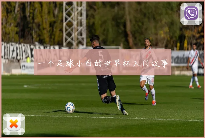 一个足球小白的世界杯入门故事