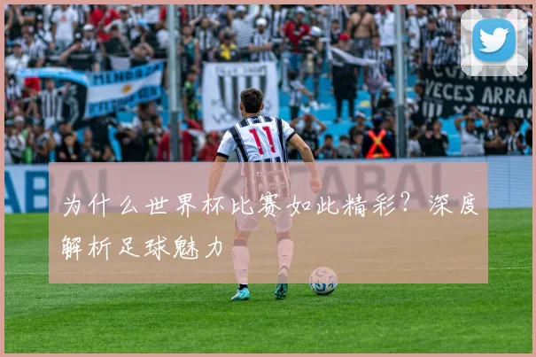 为什么世界杯比赛如此精彩？深度解析足球魅力