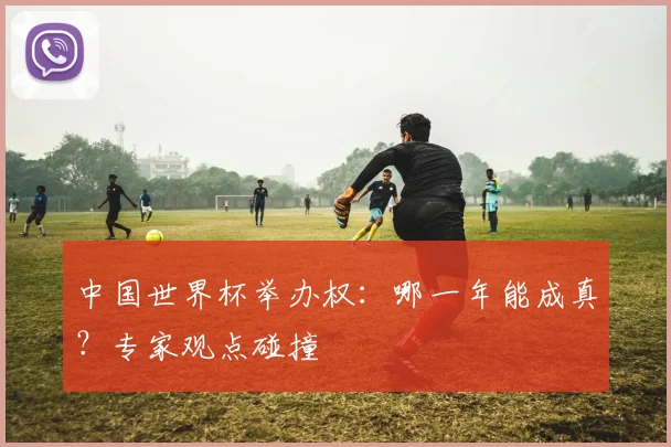 中国世界杯举办权：哪一年能成真？专家观点碰撞