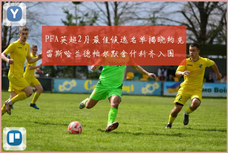 PFA英超2月最佳候选名单揭晓约克雷斯哈兰德帕尔默舍什科齐入围