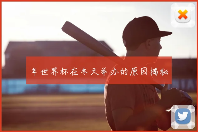 年世界杯在冬天举办的原因揭秘