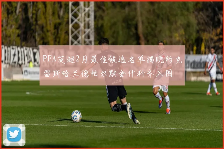 PFA英超2月最佳候选名单揭晓约克雷斯哈兰德帕尔默舍什科齐入围