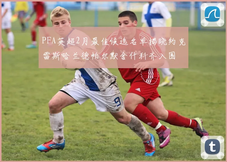PFA英超2月最佳候选名单揭晓约克雷斯哈兰德帕尔默舍什科齐入围